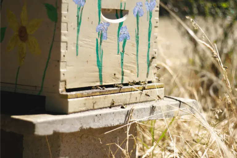 Is Acrylic Paint Safe For Bees Blended Canvas is-acrylic-paint-safe-for-bees-blended-canvas